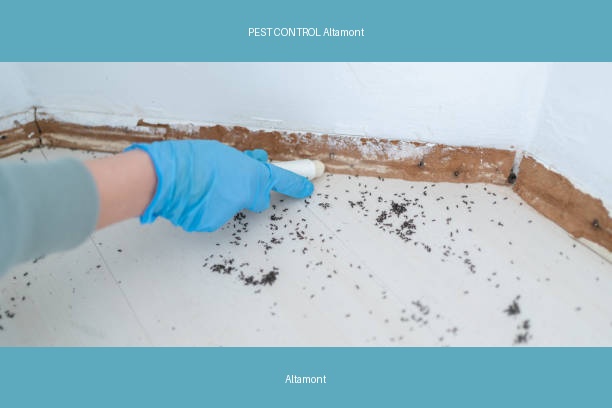 PEST CONTROL Altamont